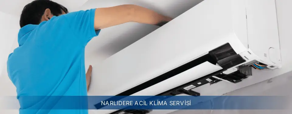 Narlıdere İlçemi Electrolux Acil Klima Servisi