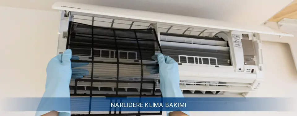 Narlıdere İlçemi Electrolux Klima Bakımı