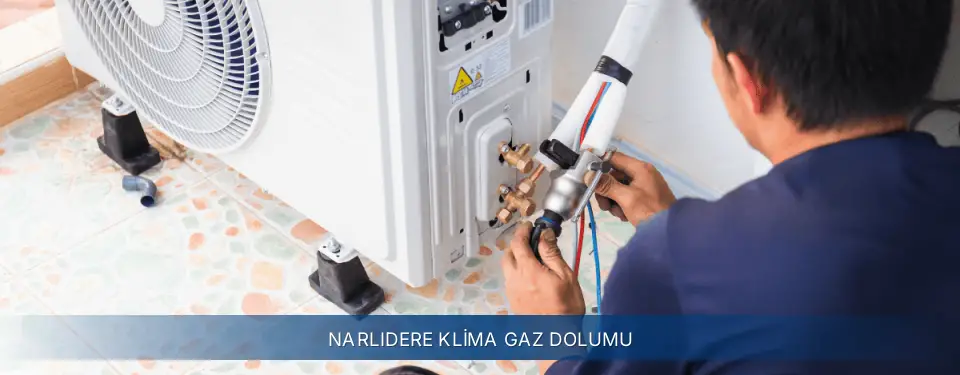 Narlıdere İlçemi Electrolux Klima Gaz Dolumu