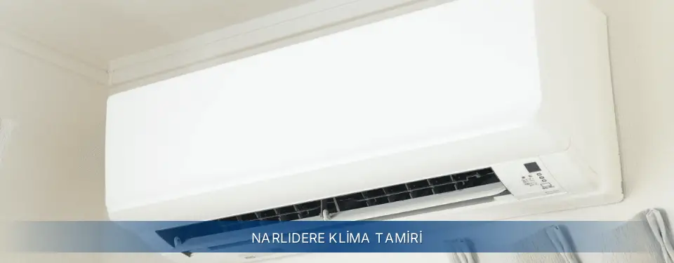 Narlıdere İlçemi Electrolux Klima Tamiri