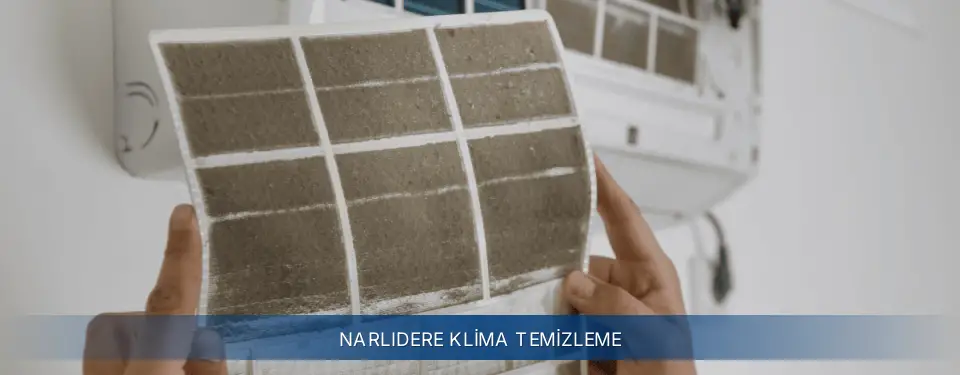 Narlıdere İlçemi Electrolux Klima Temizleme